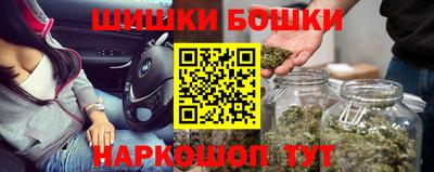 гашик Аргун