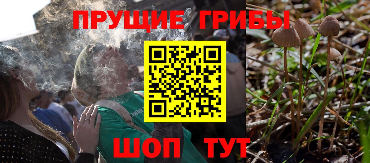 Галлюциногенные грибы MAGIC MUSHROOMS  Вход с VPN  Брянск 