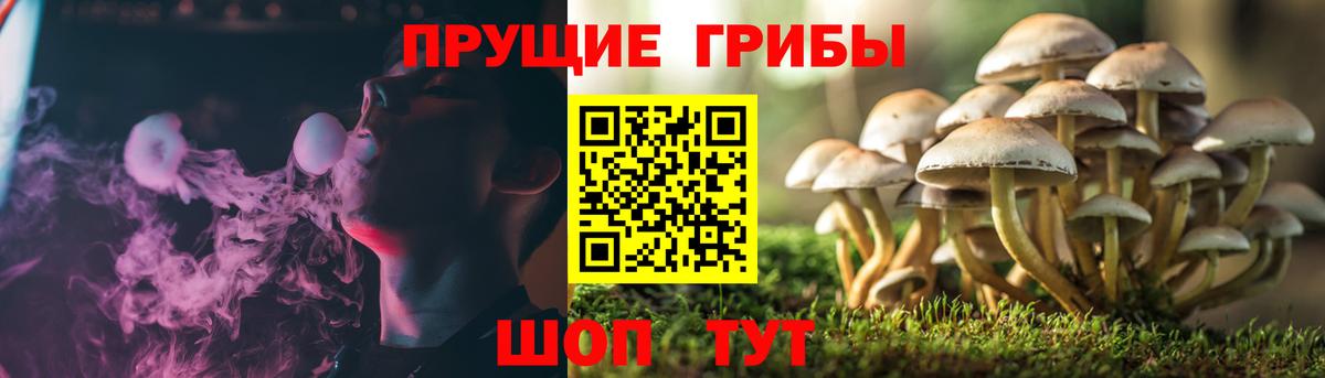 Галлюциногенные грибы ЛСД Брянск